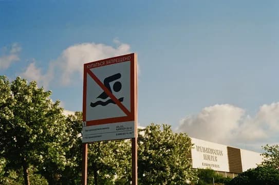 Dezinformacja o rekinach. Branża turystyczna ponosi straty